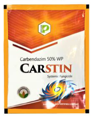 Carstin