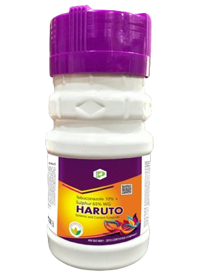 Haruto