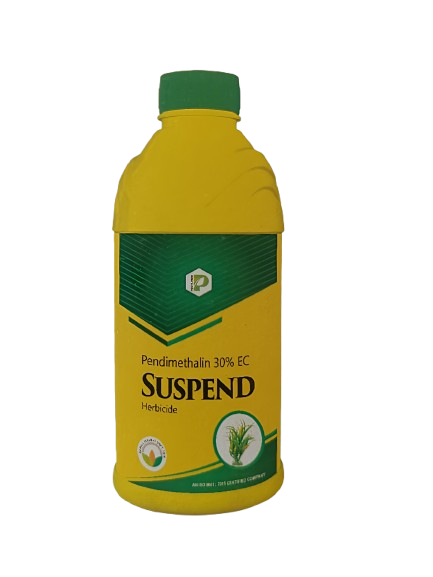 Suspend